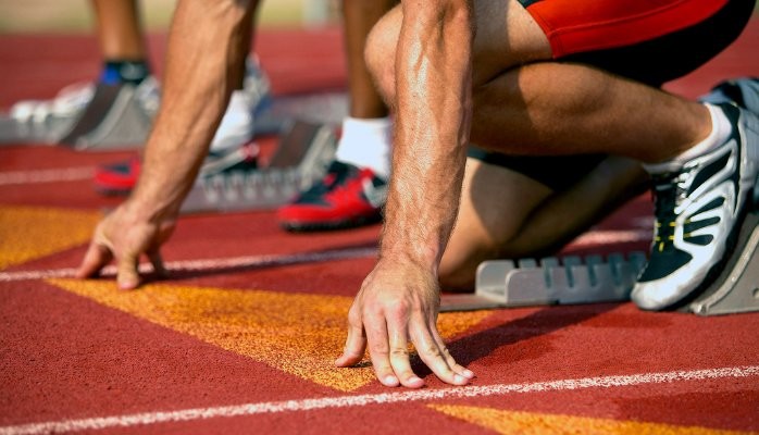 intelligence collective